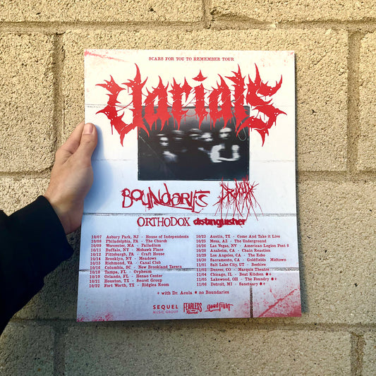SFYTR TOUR POSTER